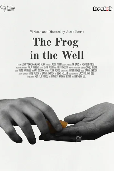 The Frog in The Well