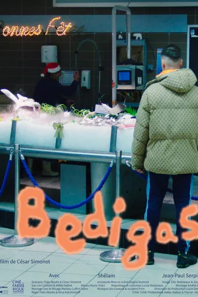 Bedigas