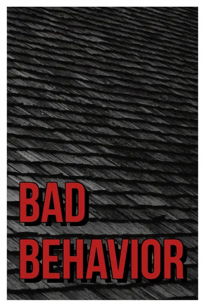 Bad Behavior