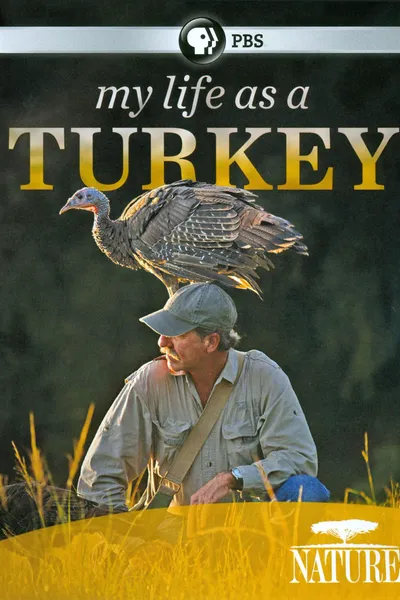 My Life as a Turkey