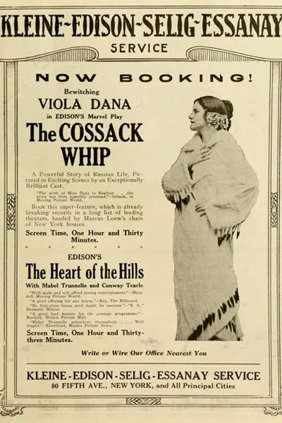 The Cossack Whip