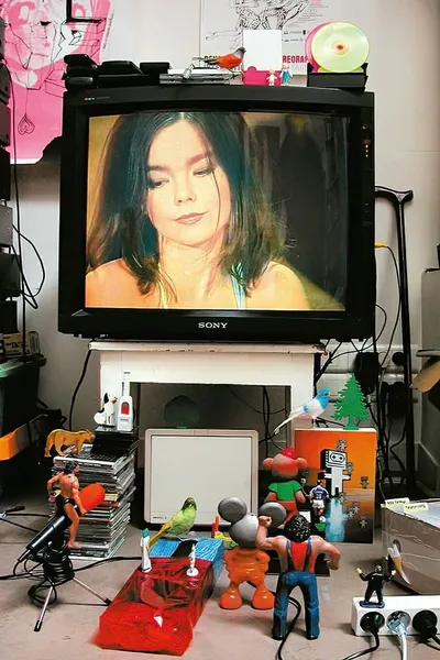 Björk: MTV Unplugged 1994