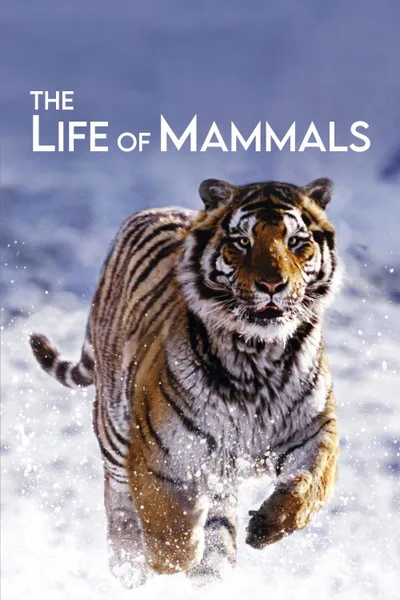 The Life of Mammals