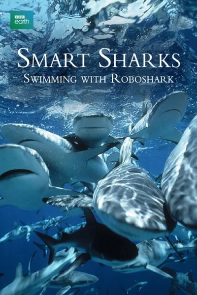 Smart Sharks: Swimming With Roboshark