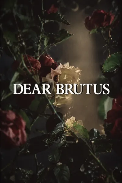 Dear Brutus