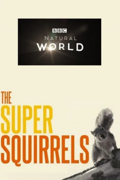 The Super Squirrels