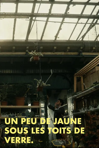 Un peu de jaune sous les toits de verre
