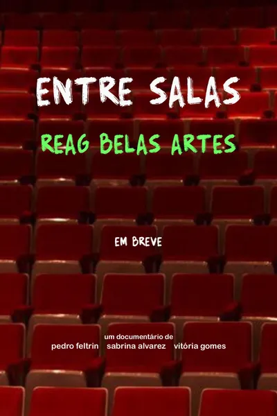 Entre Salas: REAG BELAS ARTES