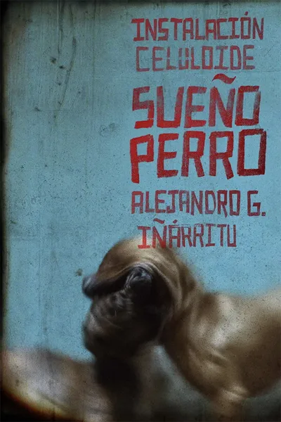 Sueño Perro