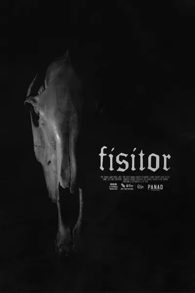 Fisitor