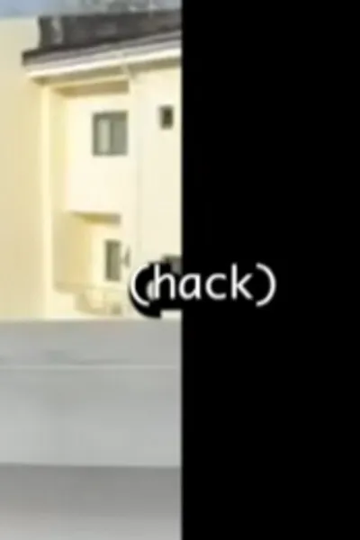 (hack)
