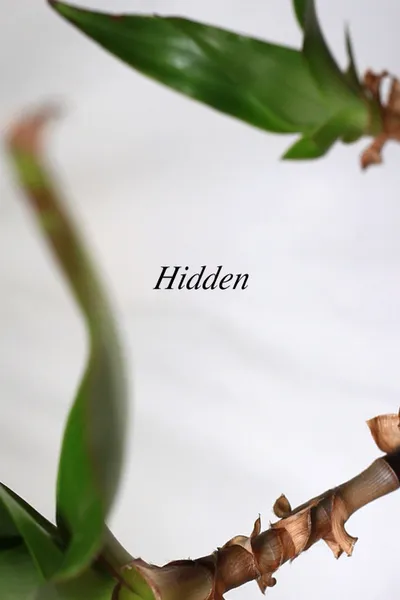 Hidden