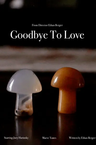 Goodbye To Love