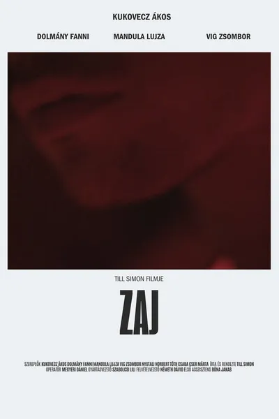 Zaj