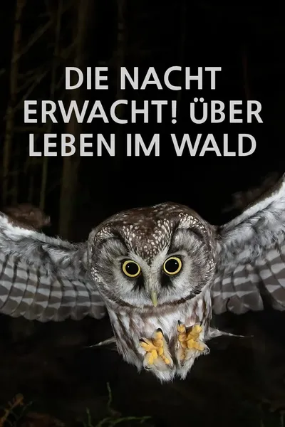 Die Nacht erwacht! Über Leben im Wald