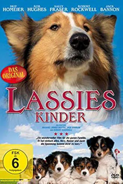 Lassie: The miracle
