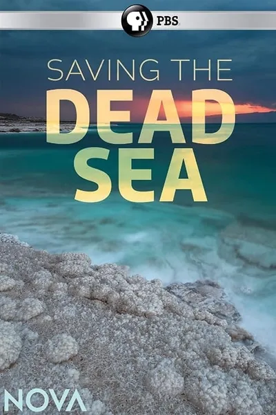 Saving the Dead Sea