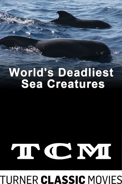 World's Deadliest Sea Creatures