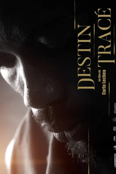 Destiny Traced