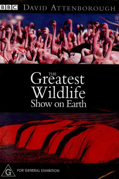 The Greatest Wildlife Show on Earth