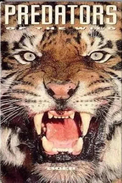 Predators of the Wild: Tiger