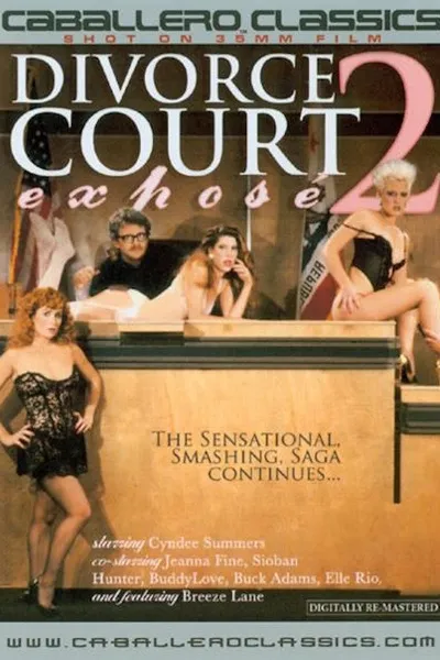 Divorce Court Expose 2