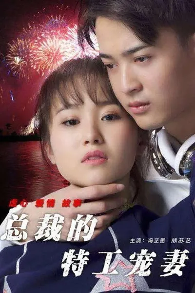 总裁的特工宠妻