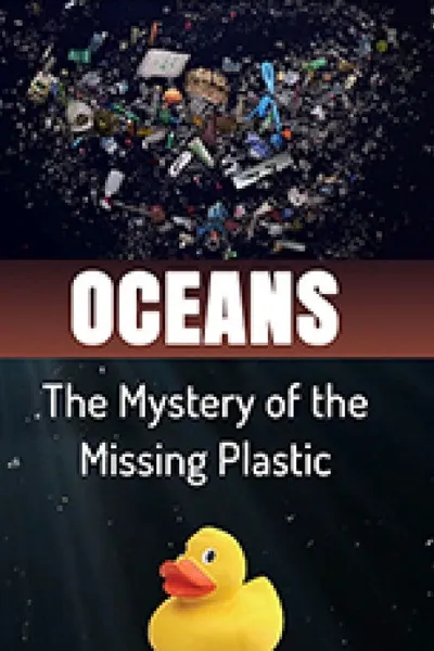 Oceans The Mystery of the Missing Plastic