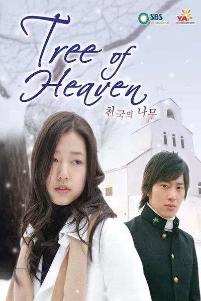 Tree of Heaven