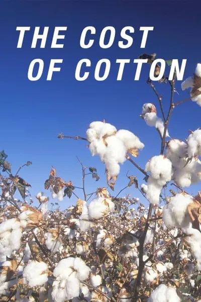 The Cost of Cotton