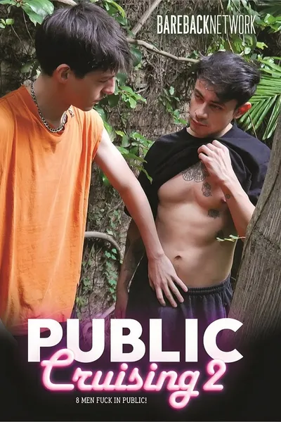 Public Cruising 2
