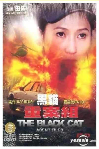 The Black Cat Agent Files