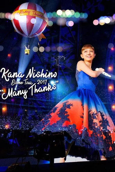 Kana Nishino Dome Tour 2017 Many Thanks