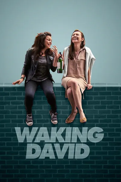 Waking David