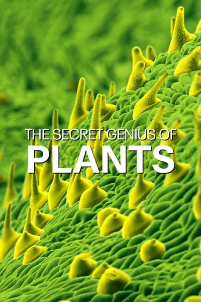 The Secret Genius of Plants