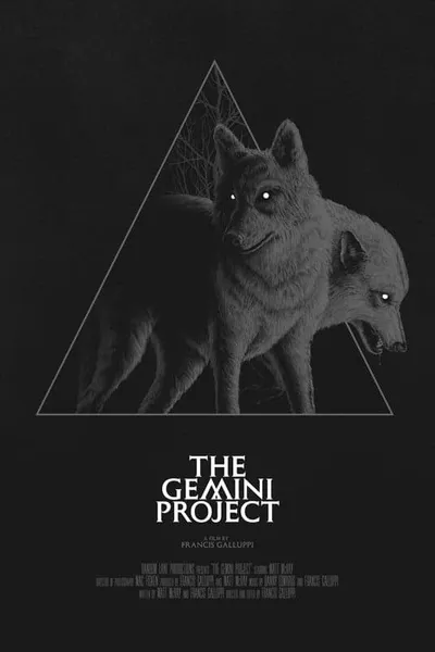 The Gemini Project