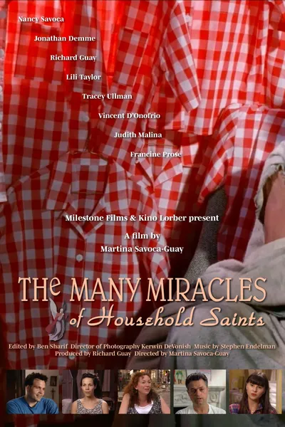The Many Miracles of Household Saints