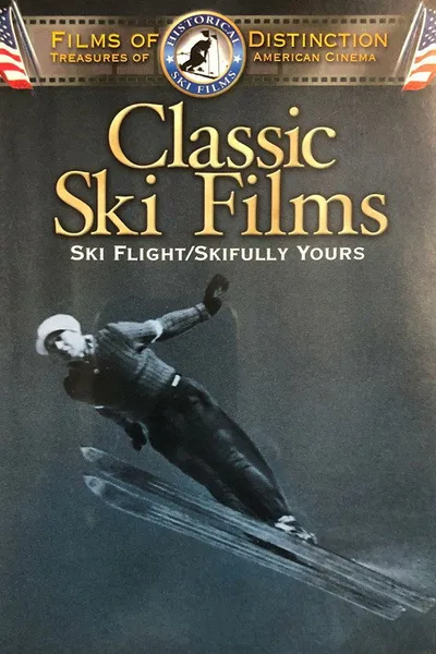 Snow Flight