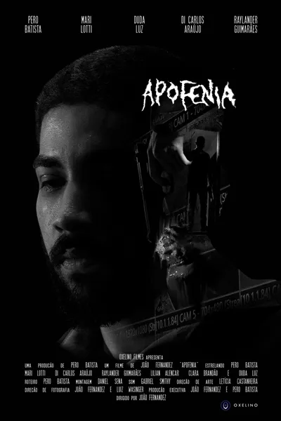 Apofenia