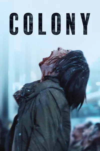 Colony