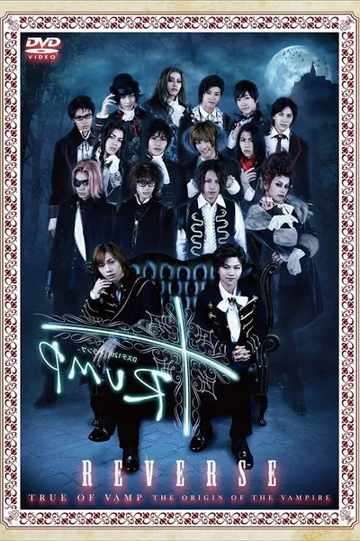 D-Stage 12th 『TRUMP』 Reverse ver.