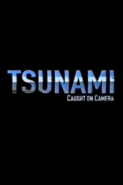 Tsunami: Caught on Camera