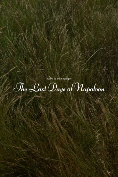 The Last Days of Napoléon