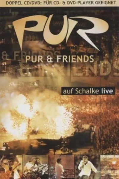 PUR & Friends auf Schalke live