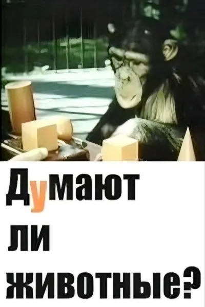 Do Animals Think?