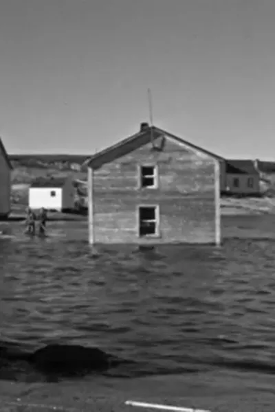 Whalehead