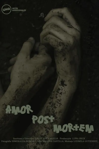 Amor Post Mortem