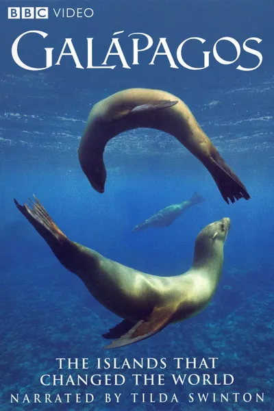 Galapagos