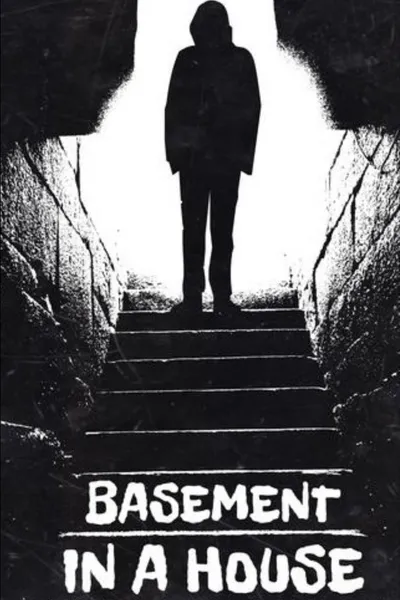 Basement in a House