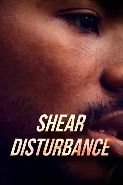 Shear Disturbance